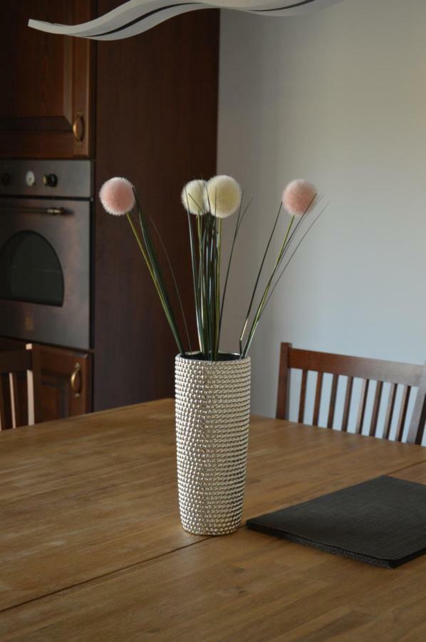 Apartment Kancler โนวาโกริคา ภายนอก รูปภาพ